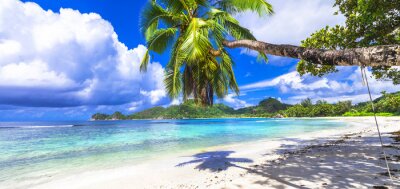 Fotobehang Tropisch paradijs op de Seychellen en palmbomen