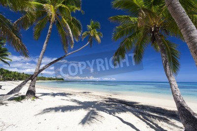 Fotobehang Tropisch paradijslandschap van het eiland Fiji