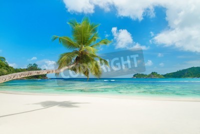Fotobehang Tropisch strand en palmbomen