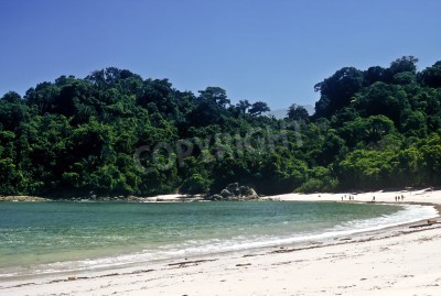 Fotobehang Tropisch strand in Costa Rica