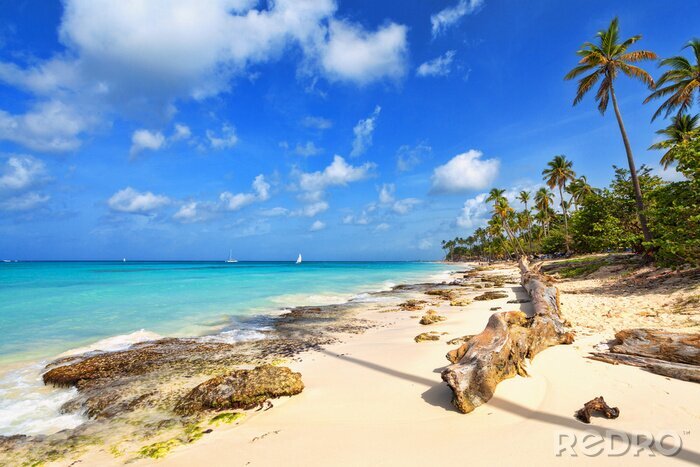 Fotobehang Tropisch strand in de Dominicaanse Republiek