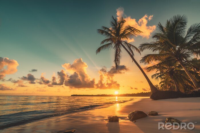 Fotobehang Tropisch strand in de Dominicaanse Republiek bij zonsondergang
