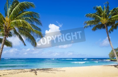 Fotobehang Tropisch strand in Hawaii