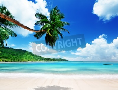 Fotobehang Tropisch strand met palmbomen