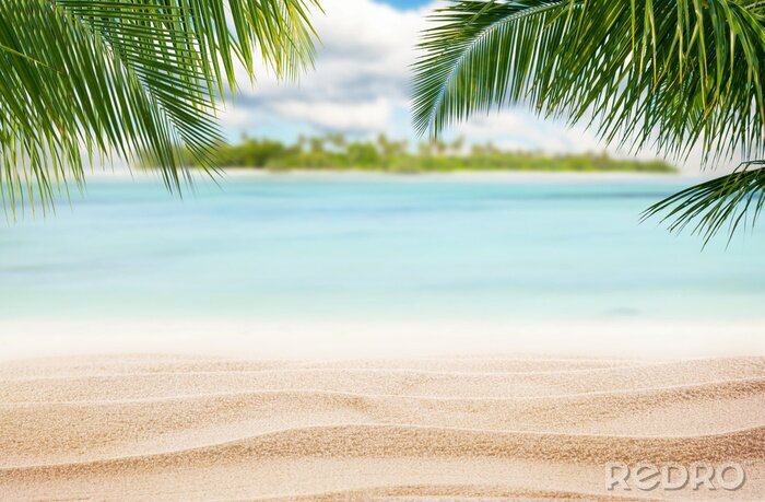 Fotobehang Tropisch strand op een eiland