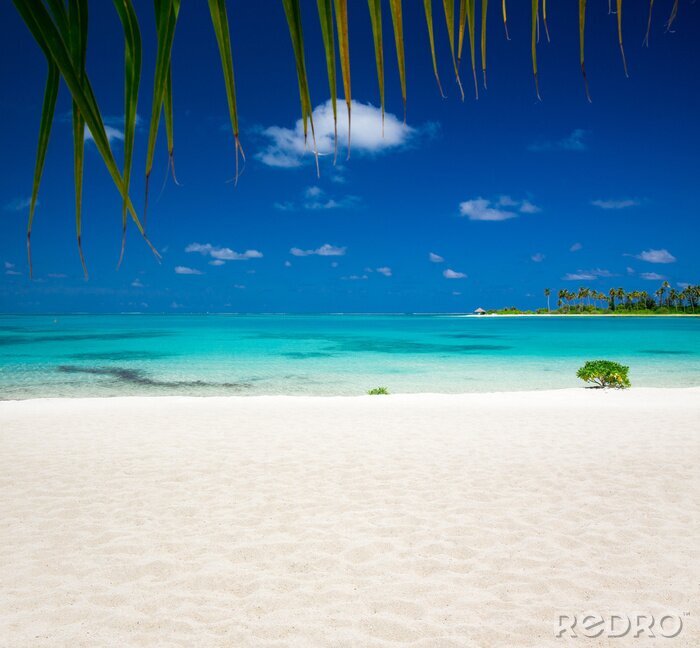 Fotobehang Tropisch strandlandschap op de Malediven