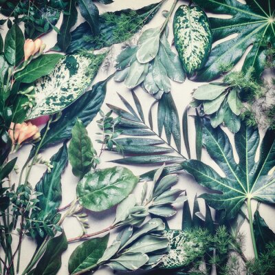 Fotobehang Tropische bladeren in retro stijl