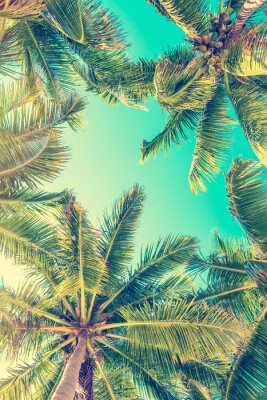 Fotobehang Tropische bomen op de achtergrond van de hemel