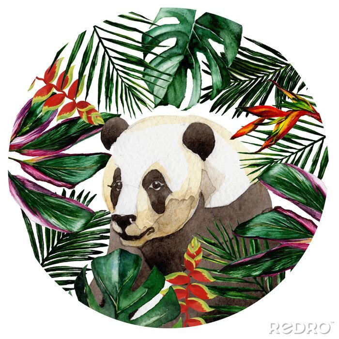 Fotobehang Tropische Hawaii bladeren in een aquarel stijl geïsoleerd. Aquarelle wilde bloem voor achtergrond, textuur, omslagpatroon, kader of grens.