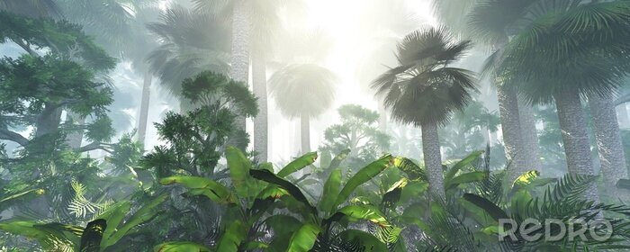 Fotobehang Tropische jungle bladeren