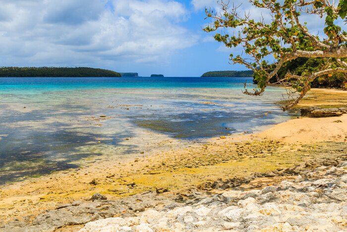 Fotobehang Tropische landschappen