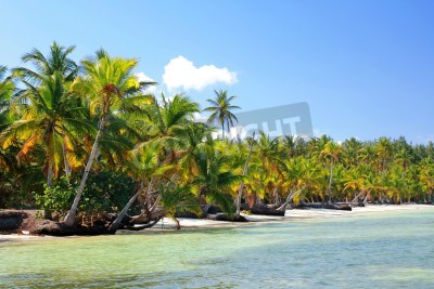 Fotobehang Tropische palmbomen op het strand