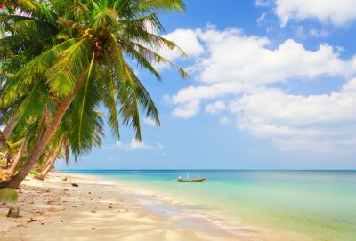Fotobehang Tropische palmbomen, strand en oceaan