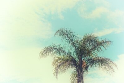 Fotobehang Tropische palmboom in de lucht