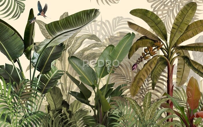 Fotobehang Tropische planten in een botanische illustratie