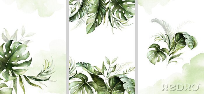 Fotobehang Tropische planten verdeeld over drie illustraties