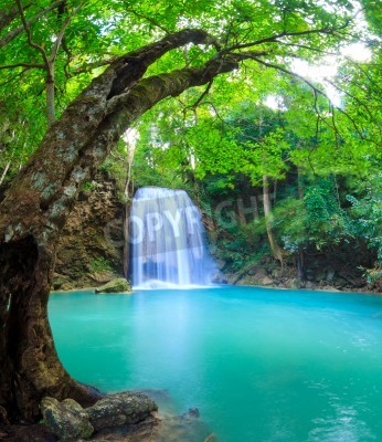 Fotobehang Tropische waterval en groen