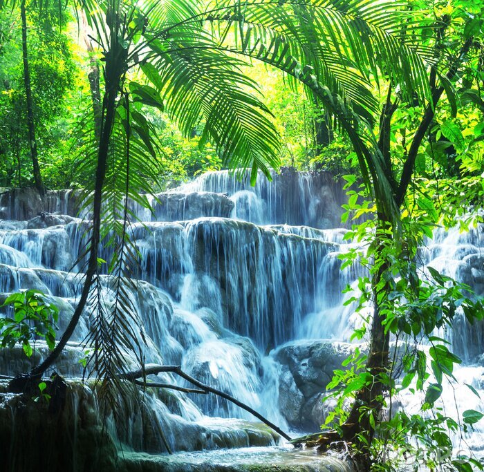 Fotobehang Tropische waterval en palmbomen
