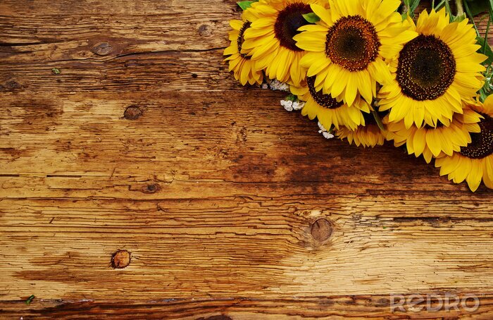 Fotobehang Tuinzonnebloemen op een houten plank