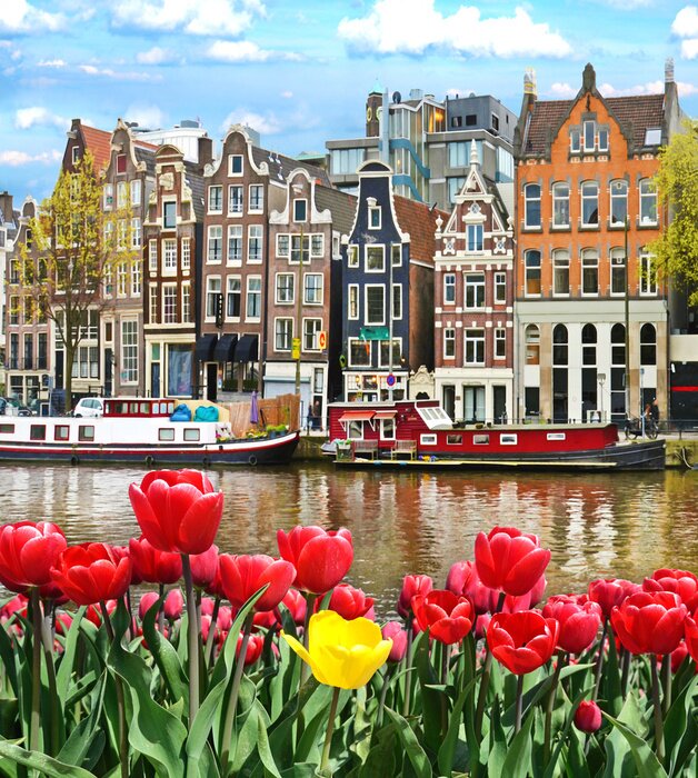 Fotobehang Tulpen in Amsterdam