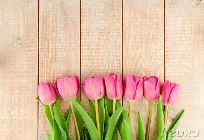 Fotobehang Tulpen op bruine planken