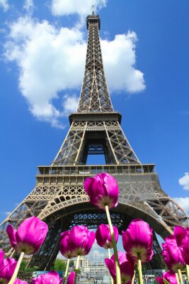 Fotobehang Tulpen op de achtergrond van Parijse architectuur