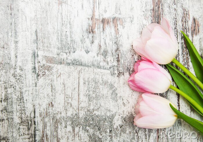 Fotobehang Tulpen op een achtergrond van planken