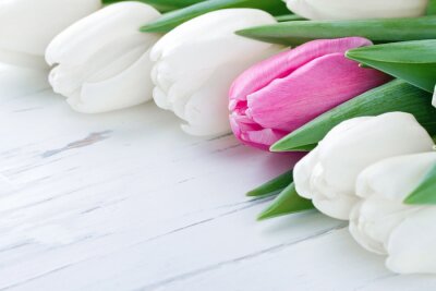 Fotobehang Tulpen op witte planken
