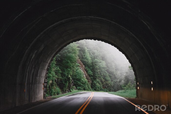 Fotobehang Tunnel met een mistig bos