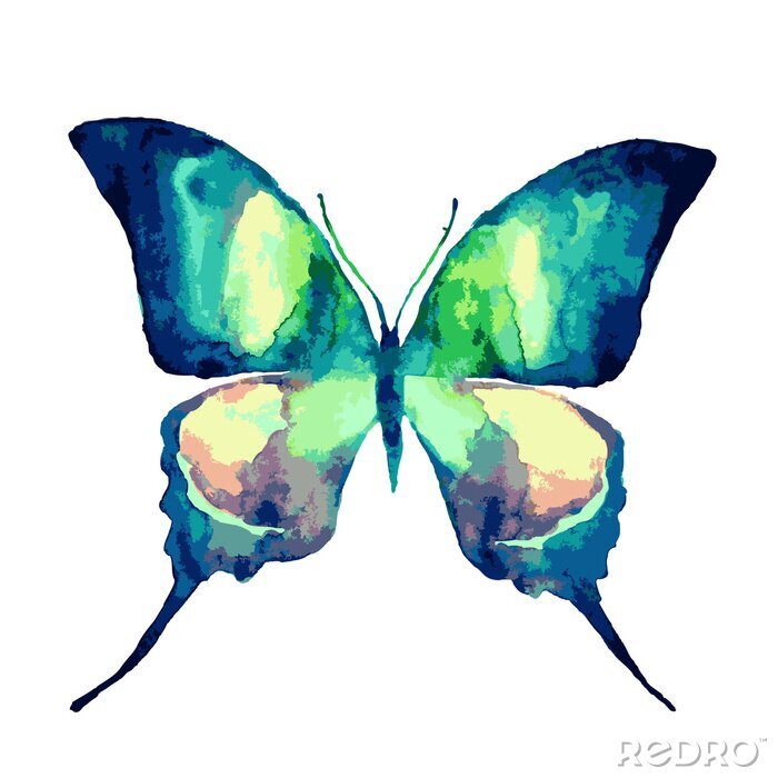 Fotobehang Turquoise vlinder in aquarel