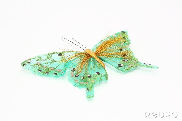 Fotobehang Turquoise vlinder op een witte achtergrond