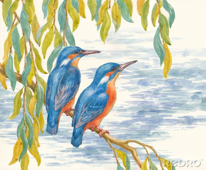 Fotobehang Twee geschilderde vogels