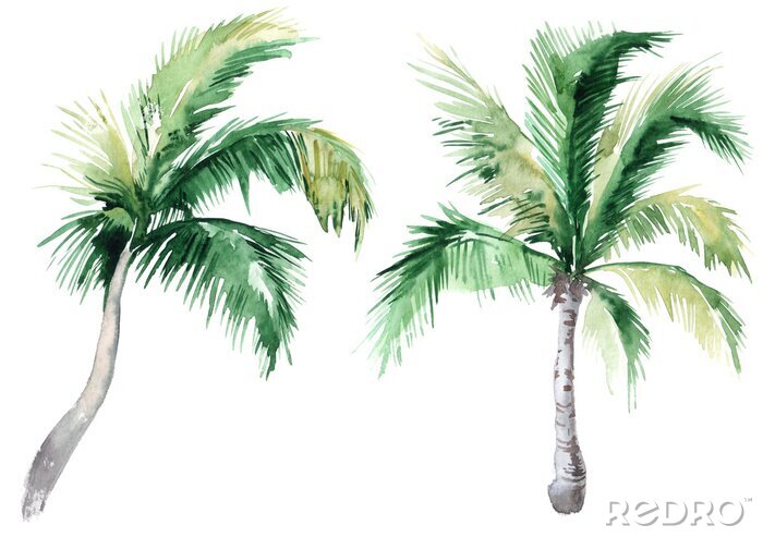 Fotobehang Twee kleine palmbomen aquarel illustratie