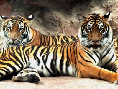 Fotobehang Twee tijgers in de grot