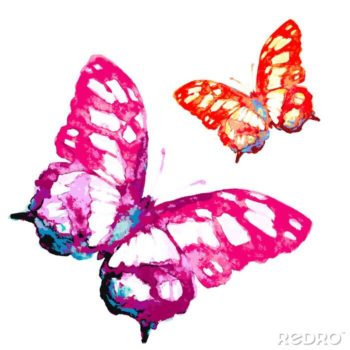 Fotobehang Twee vlinders in aquarel