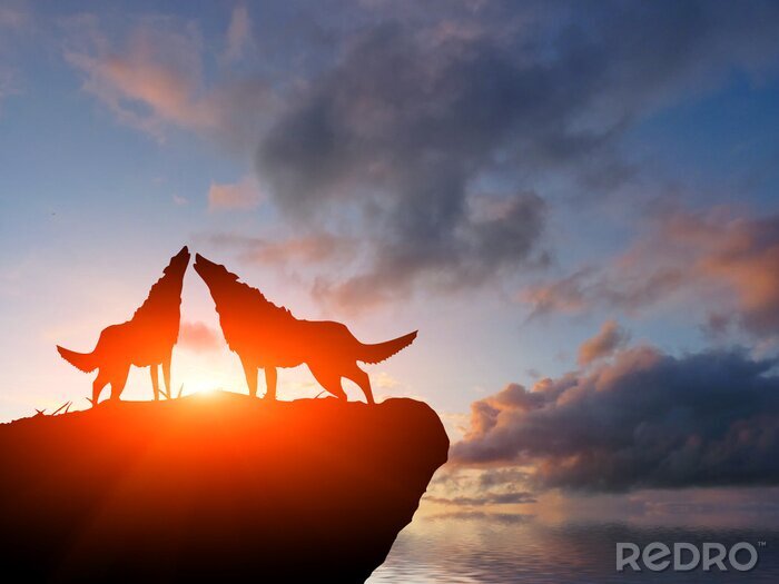 Fotobehang Twee wolven staan op een rots
