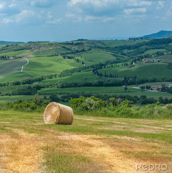 Fotobehang Typisch Toscaanse landschap