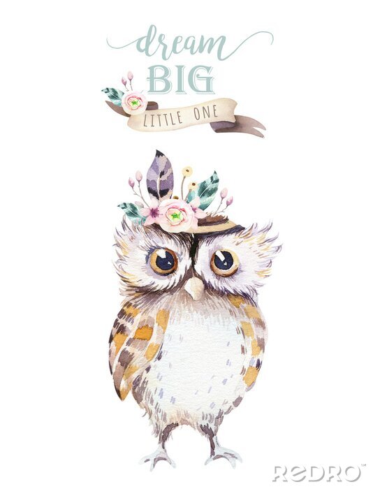 Fotobehang Uil met een pluim