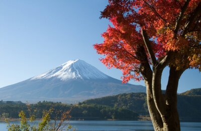 Fotobehang Uitzicht op de berg Fuji