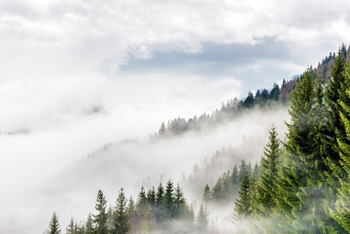 Fotobehang Uitzicht op de bergen in de mist