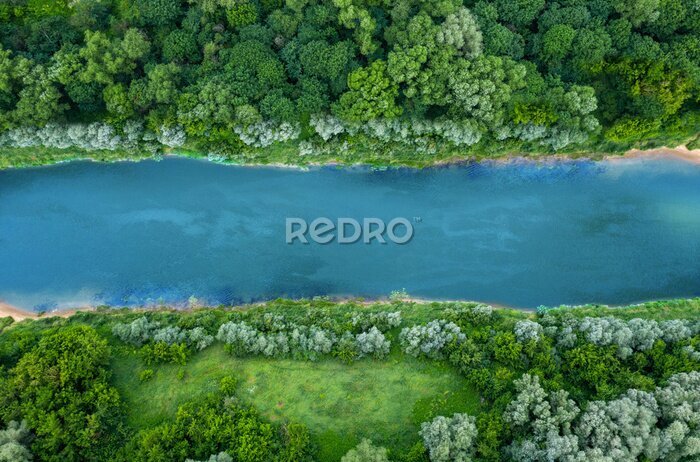 Fotobehang Uitzicht op een rivier vanuit een groen bos