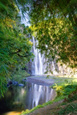 Fotobehang Uitzicht op groen en een waterval