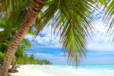 Fotobehang Uitzicht op palmbomen en exotische zee
