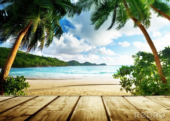 Fotobehang Uitzicht op palmbomen en oceaan