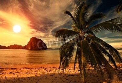 Fotobehang Uitzicht op tropisch strand in warme kleuren