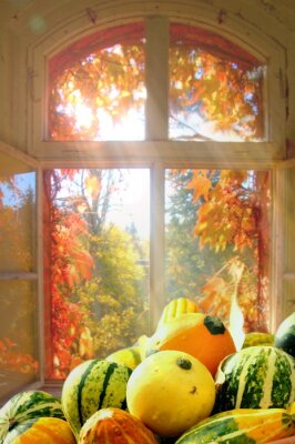 Fotobehang Uitzicht vanuit het raam op de herfsttuin