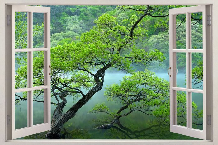 Fotobehang Uitzicht vanuit het raam op een landschap met een boom en een meer