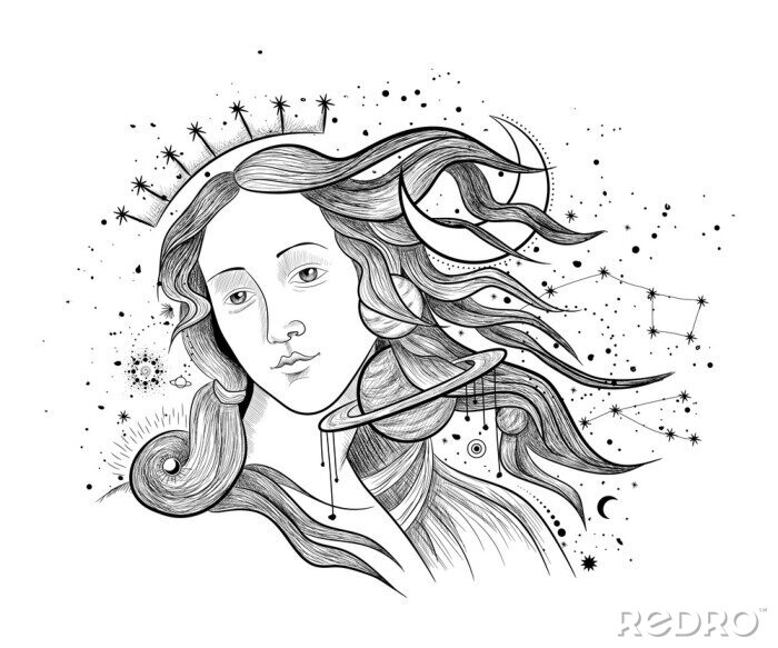 Fotobehang Vector illustration set of moon phases. Different stages of moonlight activity in vintage engraving style. Zodiac Signs