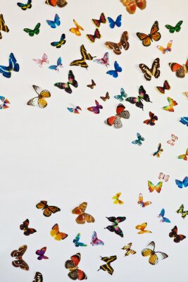 Fotobehang Veelkleurige vliegende vlinders