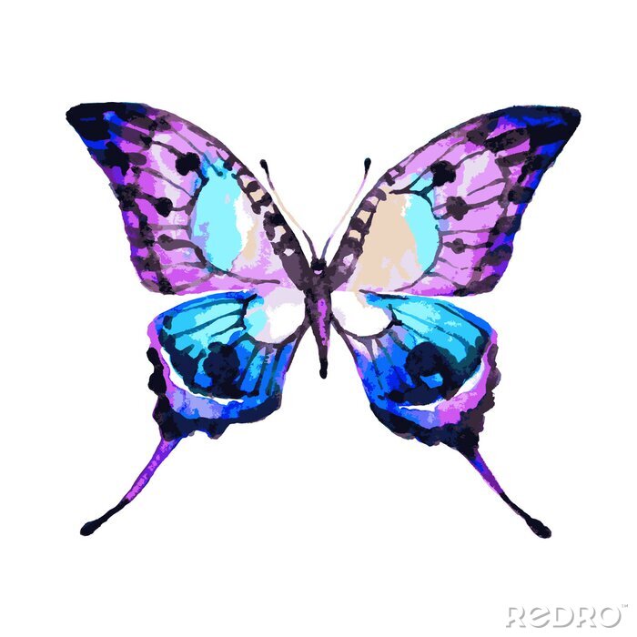 Fotobehang Veelkleurige vlinder in aquarel